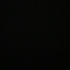 Meet your Posher, Sofia